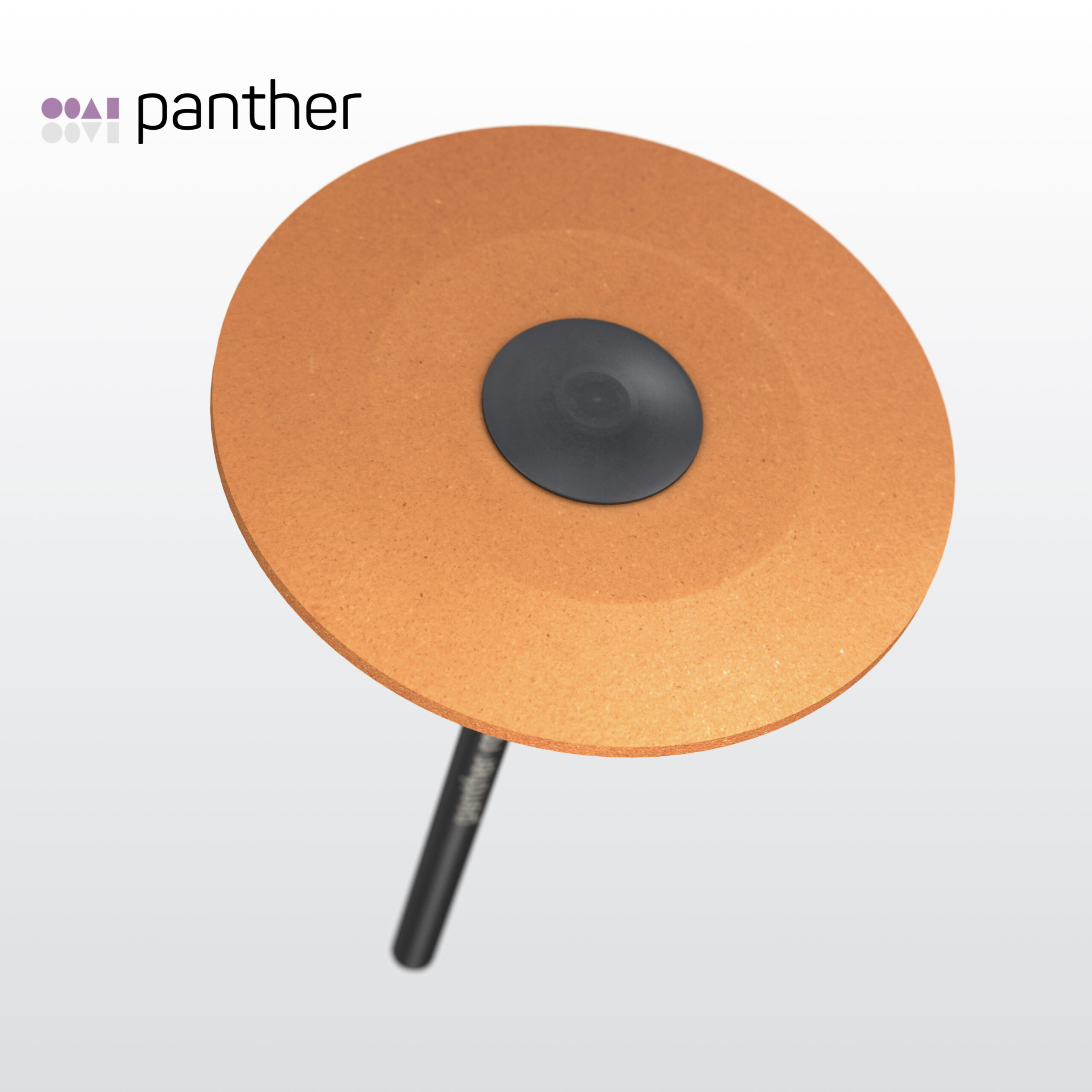 Panther Abutment Surface lense 260, rough