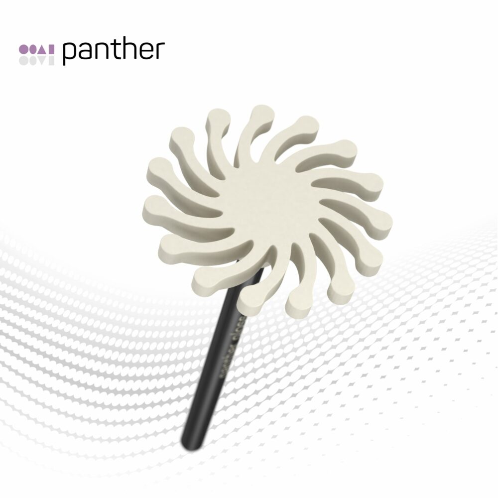 panther edition Jubiläums-Kit, limited – Bild 4